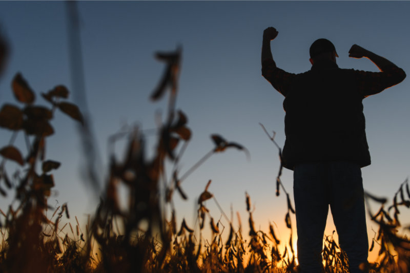 Farmer silhouette raising arms in celebration, standing in a field of crops during a vibrant sunset, representing success and achievement